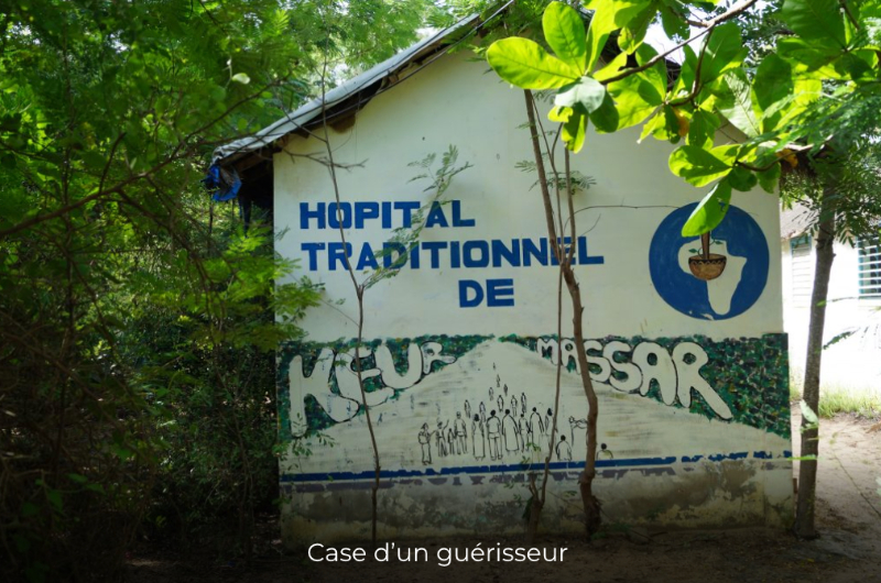 2001 3 Formations pour les professionnels de santé